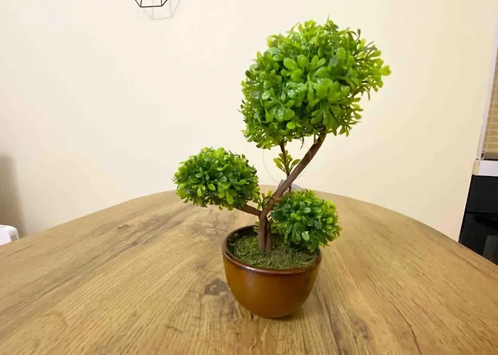 公寓 Jo-al Center 地拉那